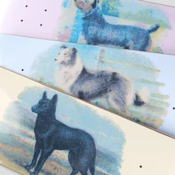 Pass~Port Hybrid Vigour Series - Terrier