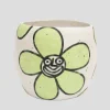 RITTLE PLANTER DAISY